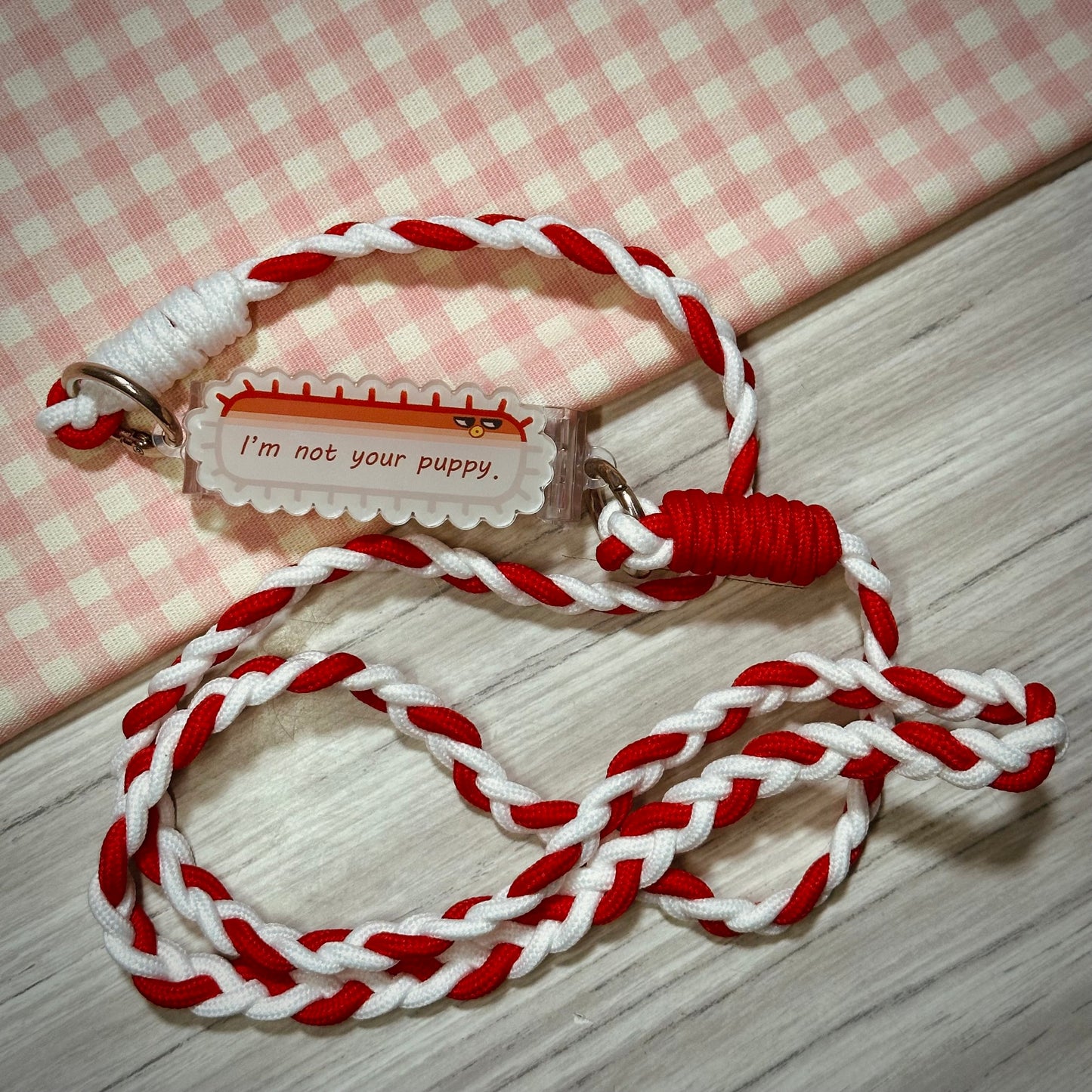 Acrylic Phone Clip + Lanyard #1